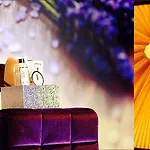 Boutique Montanara Hotell
